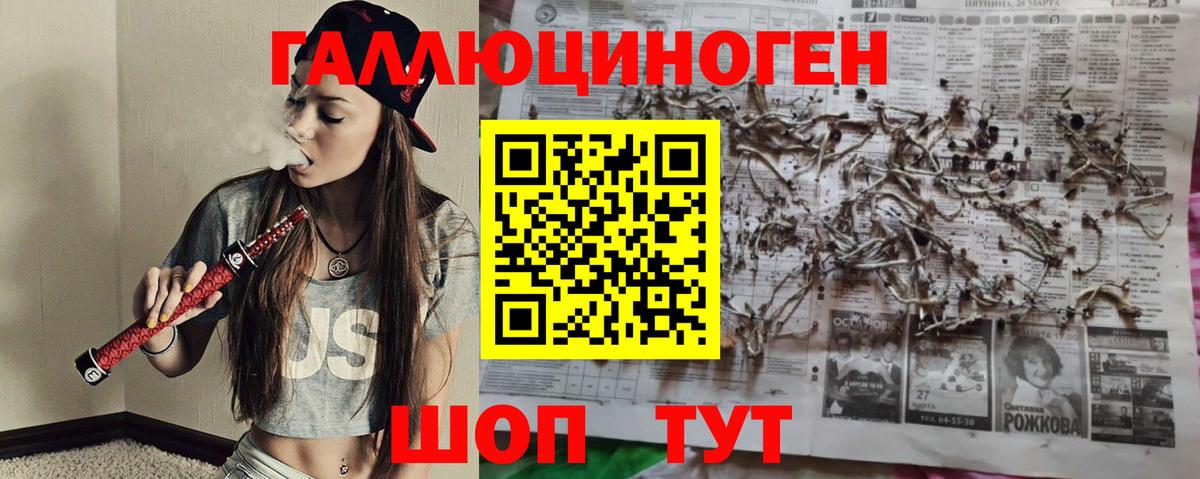 Псилоцибиновые грибы Psilocybe Лесозаводск
