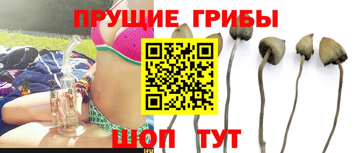 Галлюциногенные грибы мухоморы  Вход с VPN  Лесозаводск  Галлюциногенные грибы GOLDEN TEACHER 